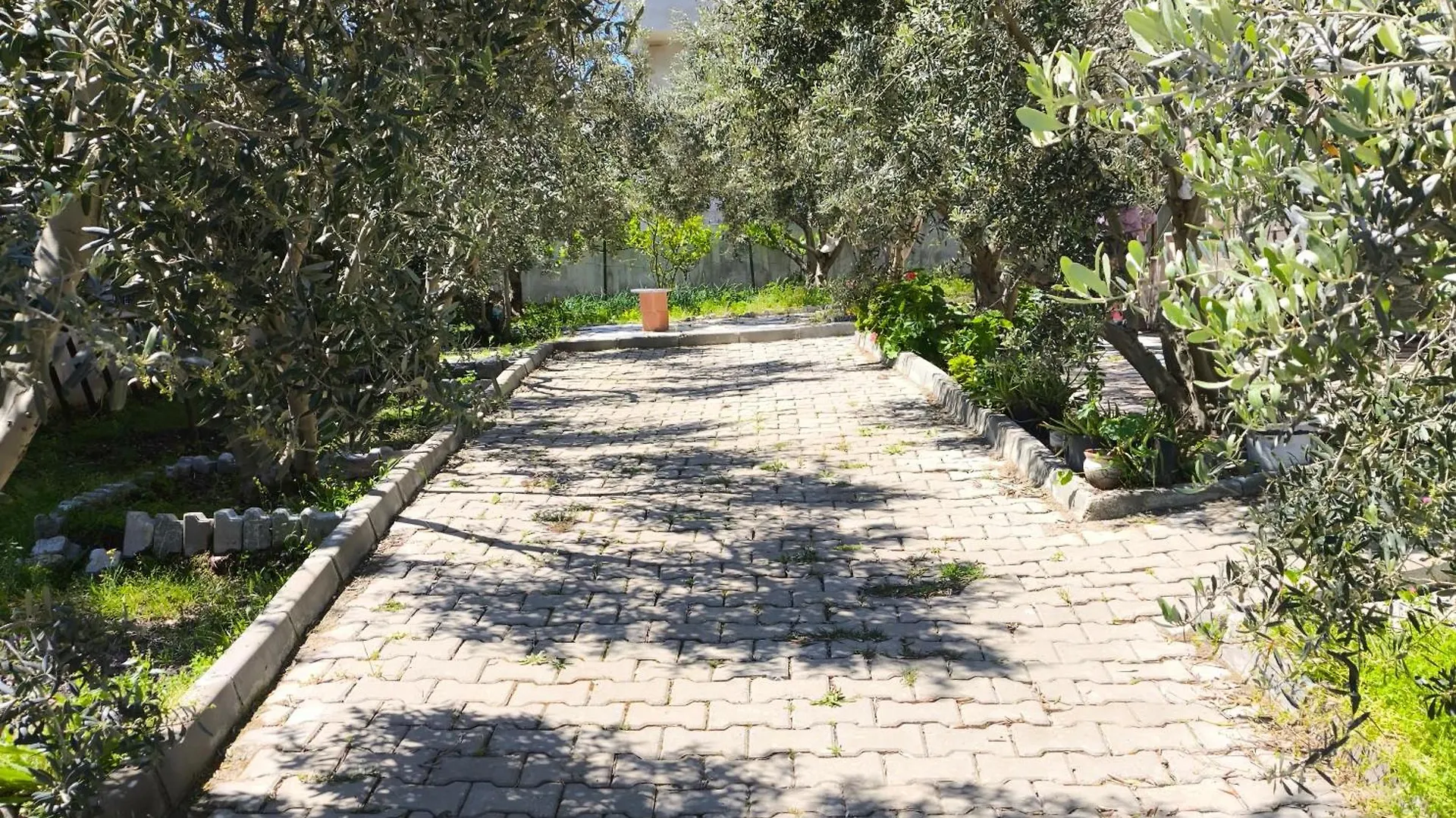 Σπίτι διακοπών Soem Elaia House Βίλα Doğanbey